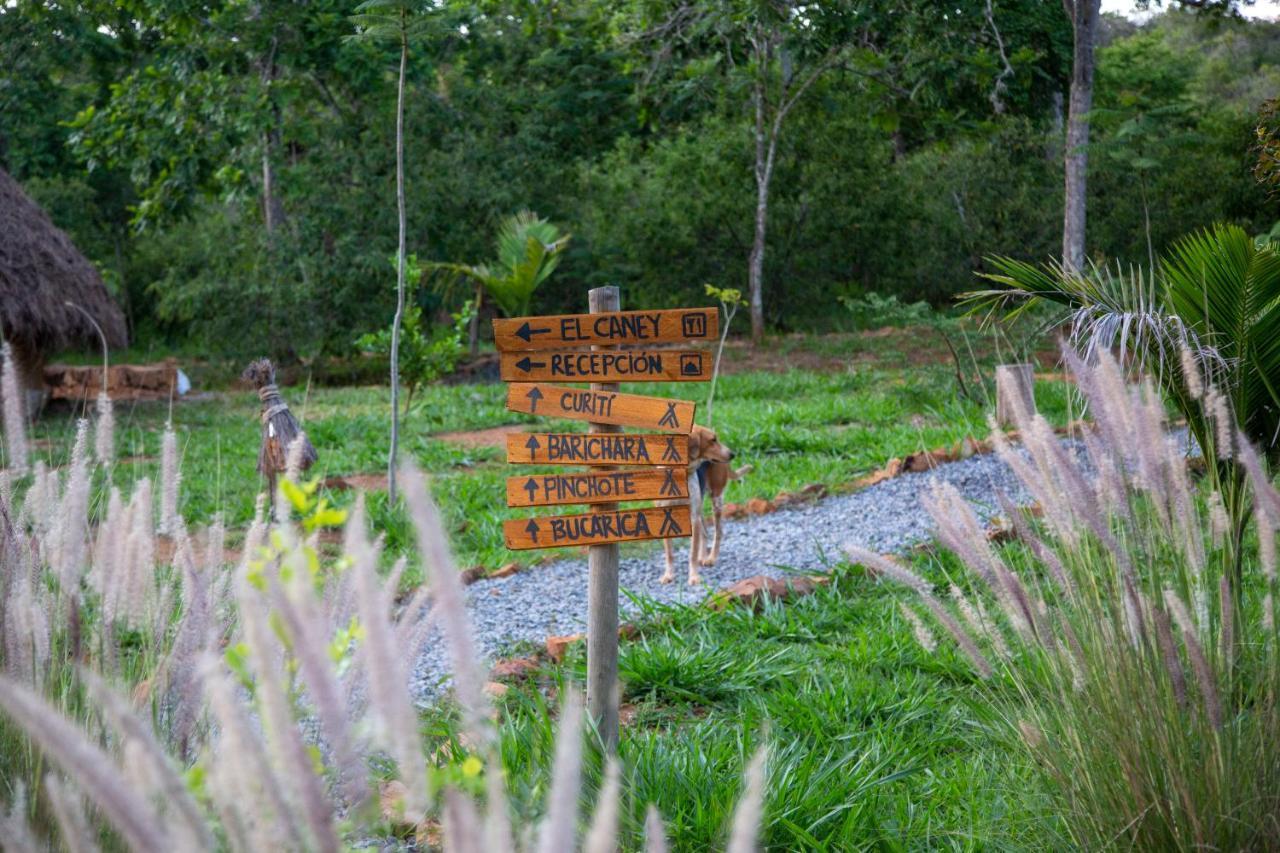 Nativo Glamping Hotell Barichara Eksteriør bilde