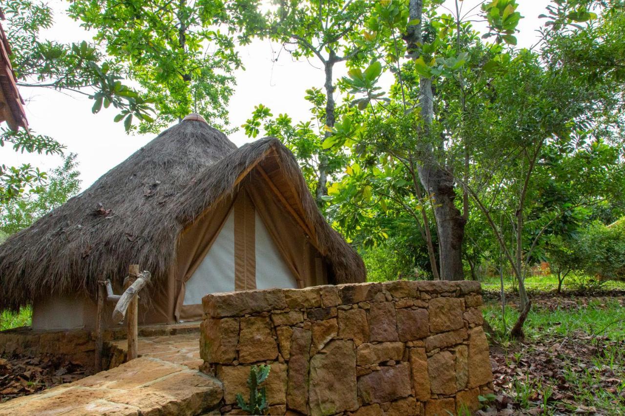 Nativo Glamping Hotell Barichara Eksteriør bilde
